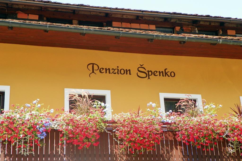 Guesthouse Špenko Kamnik Buitenkant foto